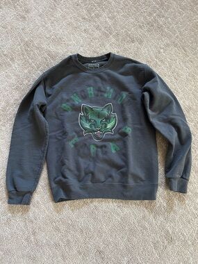 Binghamton Bearcat sweatshirt